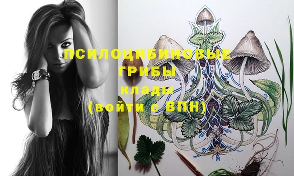 mix Корсаков