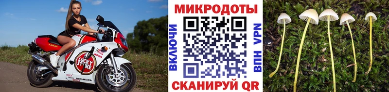 Галлюциногенные грибы мухоморы  Купить  Мураши 