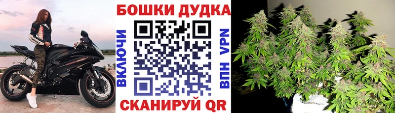 Купить где  Мураши  Бошки марихуана сатива 